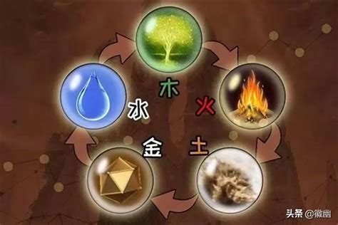 金木水火土 生肖|十二生肖在金木水火土五行里各自属什么